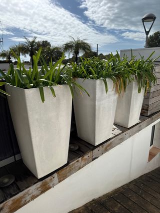 Jardineras (5 unidades)