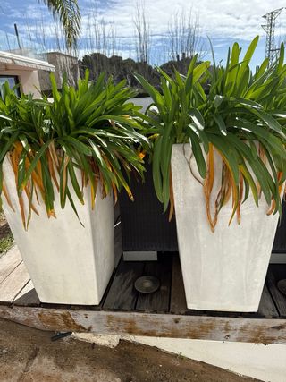 Jardineras (5 unidades)