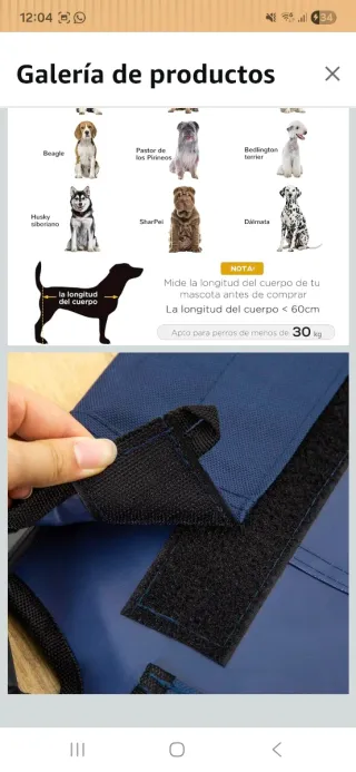 Cama elevada para perros y gatos