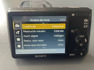 Cámara Sony Cyber-shot DSC-W520 14.1 MP + Accesori