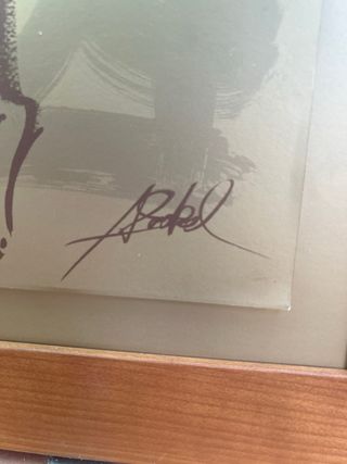 Láminas A.A. Gockel (3 unidades)