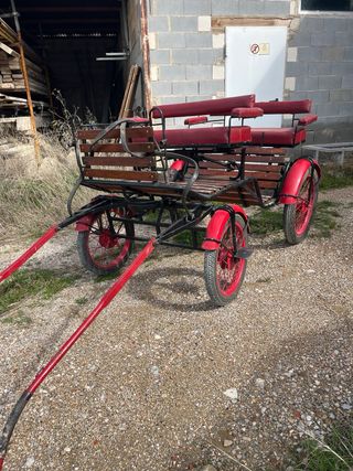 Carro para pony o caballo pequeño