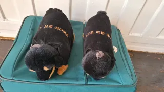 Peluches cuscini Rottweiler C.U.