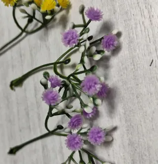 Rametti fiori per miniature. Cm 9. 10 pz a scelta.