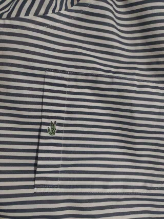 Camicia Lacoste a righe TG 41