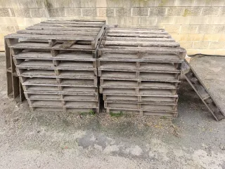 Palets de madera
