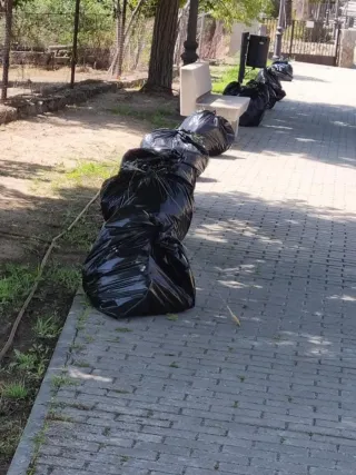 Se acen trabajos de mantenimiento jardines albañil