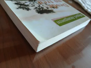 Desde un tren africano (Astor) (Spanish Edition)