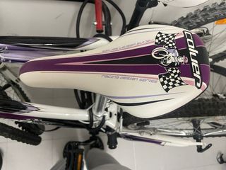 Pack 2 Bicicletas Moradas