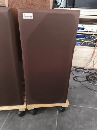 Altavoces Seney Madera Vintage