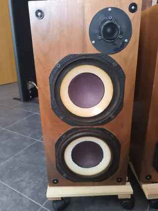 Altavoces Seney Madera Vintage
