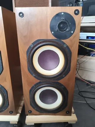Altavoces Seney Madera Vintage
