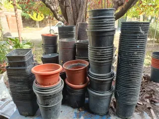 Lote 1000.Macetas Plástico Negras y Marrones.