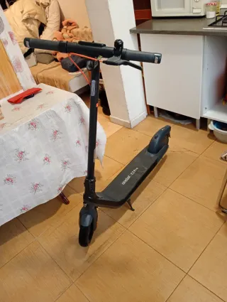 Patín Eléctrico Ninebot E2 Pro