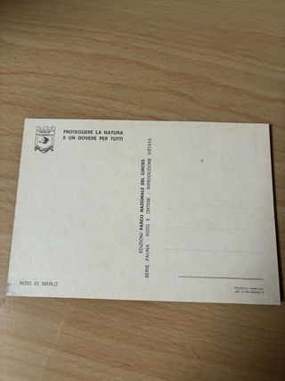 Cartolina Nido di Merlo