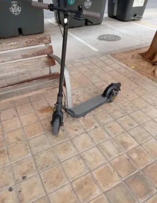 Patinete eléctrico Ninebot