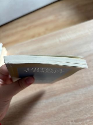 Meditación de la técnica y otros ensayos sobre ...