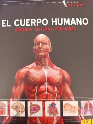 Compact Knowledge : The Body