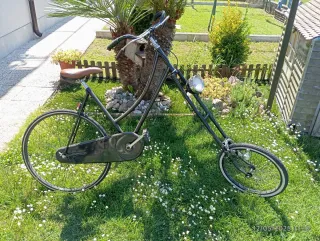 Bicicletta Custom