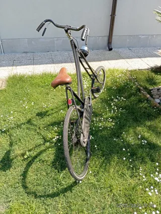 Bicicletta Custom