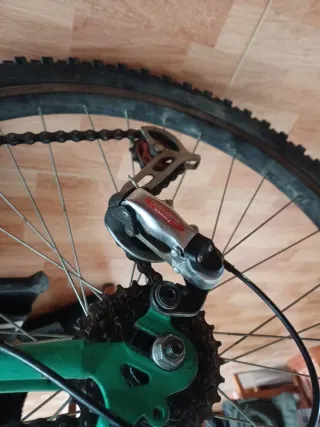 Bicicleta de Montaña Verde 21v