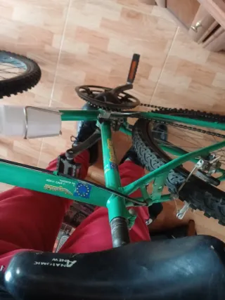 Bicicleta de Montaña Verde 21v