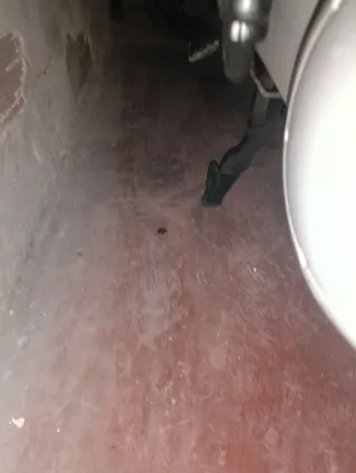 Scooter Gilera Runner 50 DD