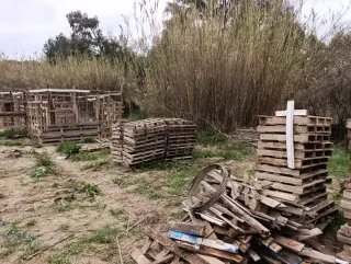 Palets de madera usados y bidones 250 palets.
