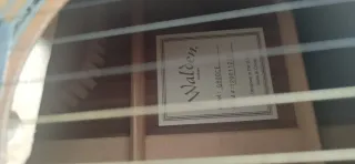 Guitarra Walden G800ce