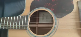 Guitarra Walden G800ce