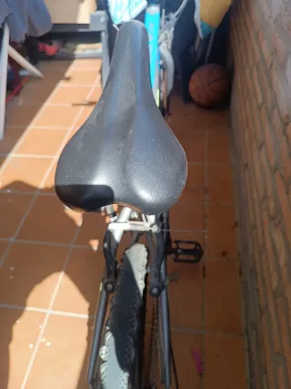 Bicicleta 24 pulgadas