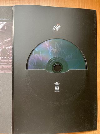 I Am not stray kida kpop