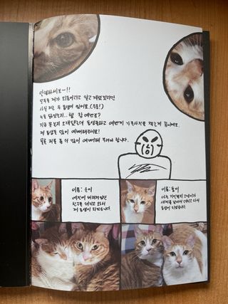 I Am not stray kida kpop