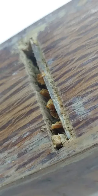 Cepillo Carpintero Antiguo Madera