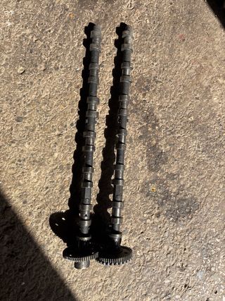 Árboles de levas BMW E46 330d 204cv