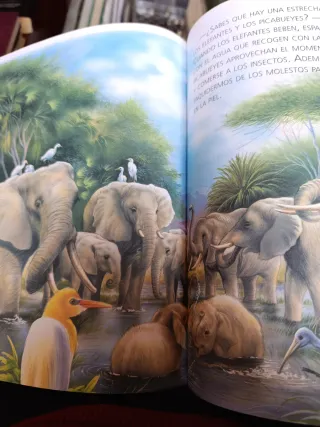 Historias de animales