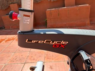 URGE VENDER - Bicicleta Spinning Life Fitness GX