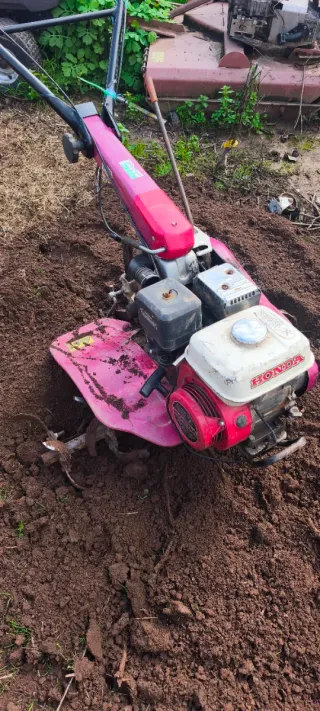 Alquiler Motoazada Honda