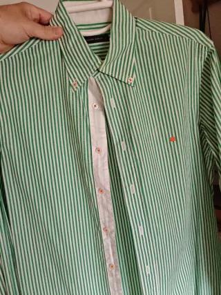 Camisa Rayas Verdes y Blancas Purificación García
