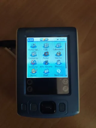 Agenda Palm One Zire 31