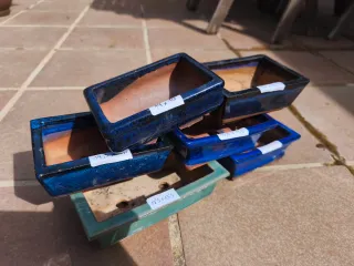 Macetas de Bonsái de Cerámica (Set de 6