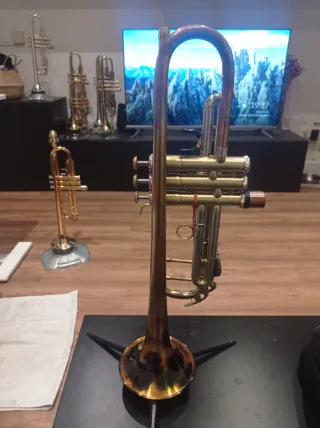 Trompeta Odyssey Premiere OCR1100