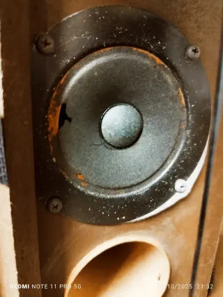 BOSE SERIE 301 PRIMER MODELO DE LA SERIE AÑO 1975.