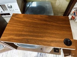 BOSE SERIE 301 PRIMER MODELO DE LA SERIE AÑO 1975.