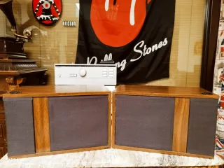 BOSE SERIE 301 PRIMER MODELO DE LA SERIE AÑO 1975.