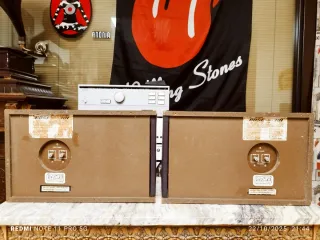 BOSE SERIE 301 PRIMER MODELO DE LA SERIE AÑO 1975.