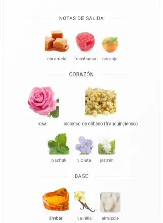 Eau de Parfum Oud Touch Franck Olivier 100ml