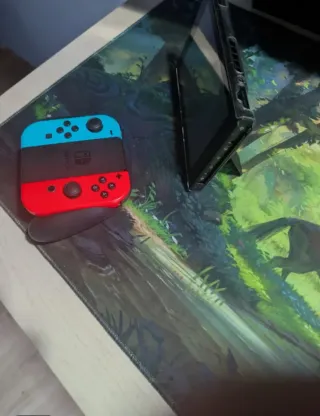 Nintendo Switch + Accesorios