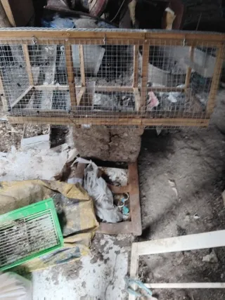 Jaula para perdices, codornices, etc.