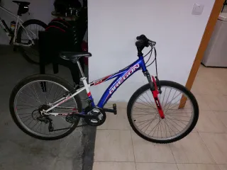 Bicicleta de montaña Oregon